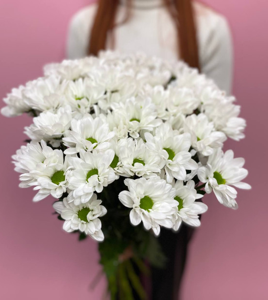 Фото Хризантемы кустовые - 4